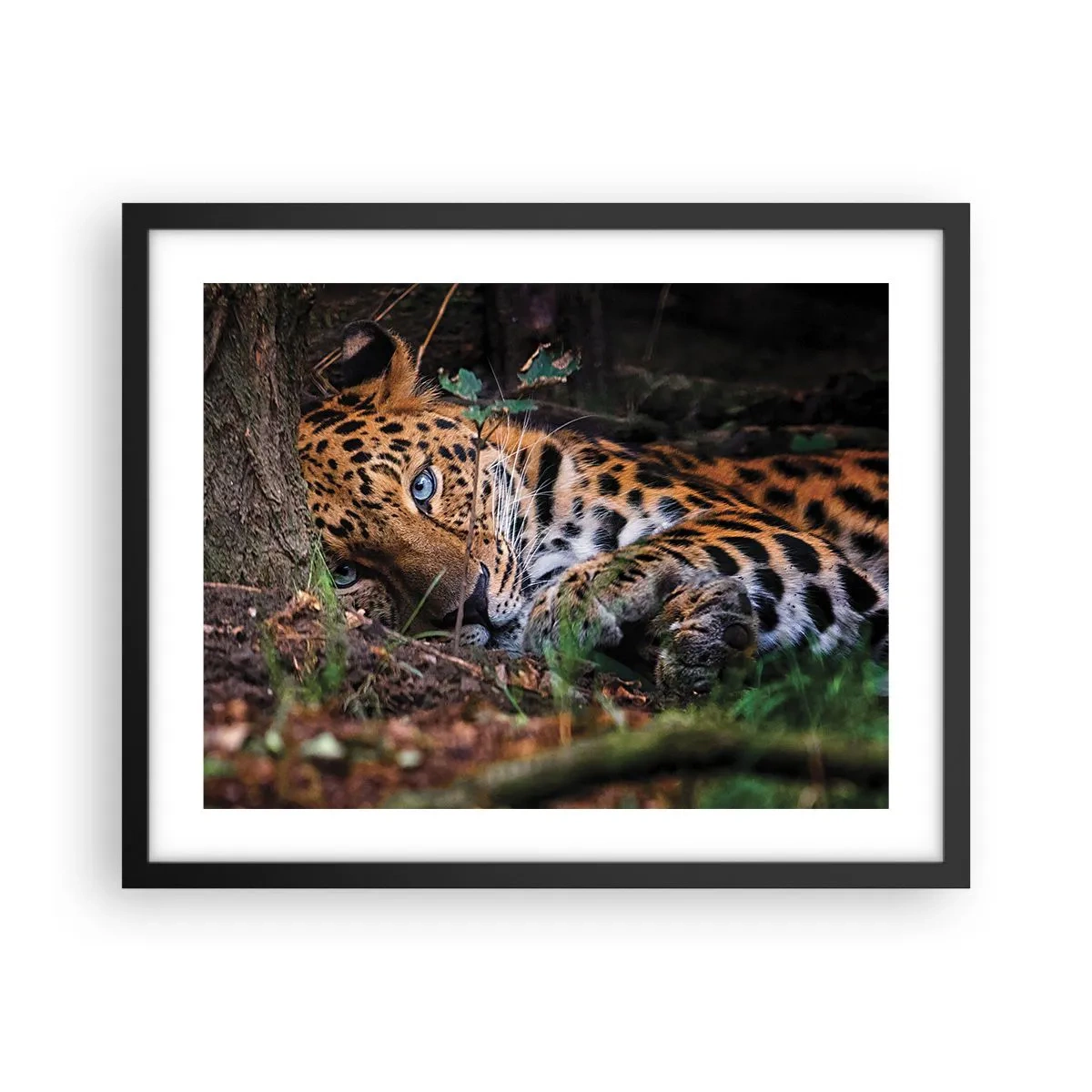 Poster in cornice nera - Fidati di me - 50x40 cm