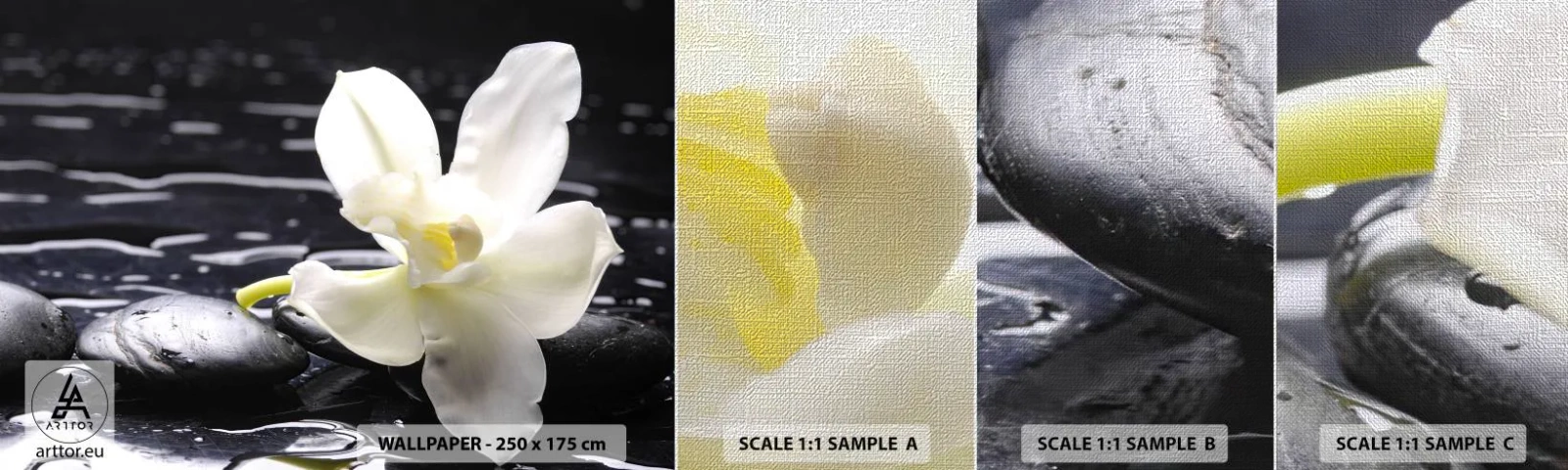 Campione di Fotomurale Premium Canvas - Studio in bianco e nero - Fiori, Pietre, Orchidea - 100x30 cm