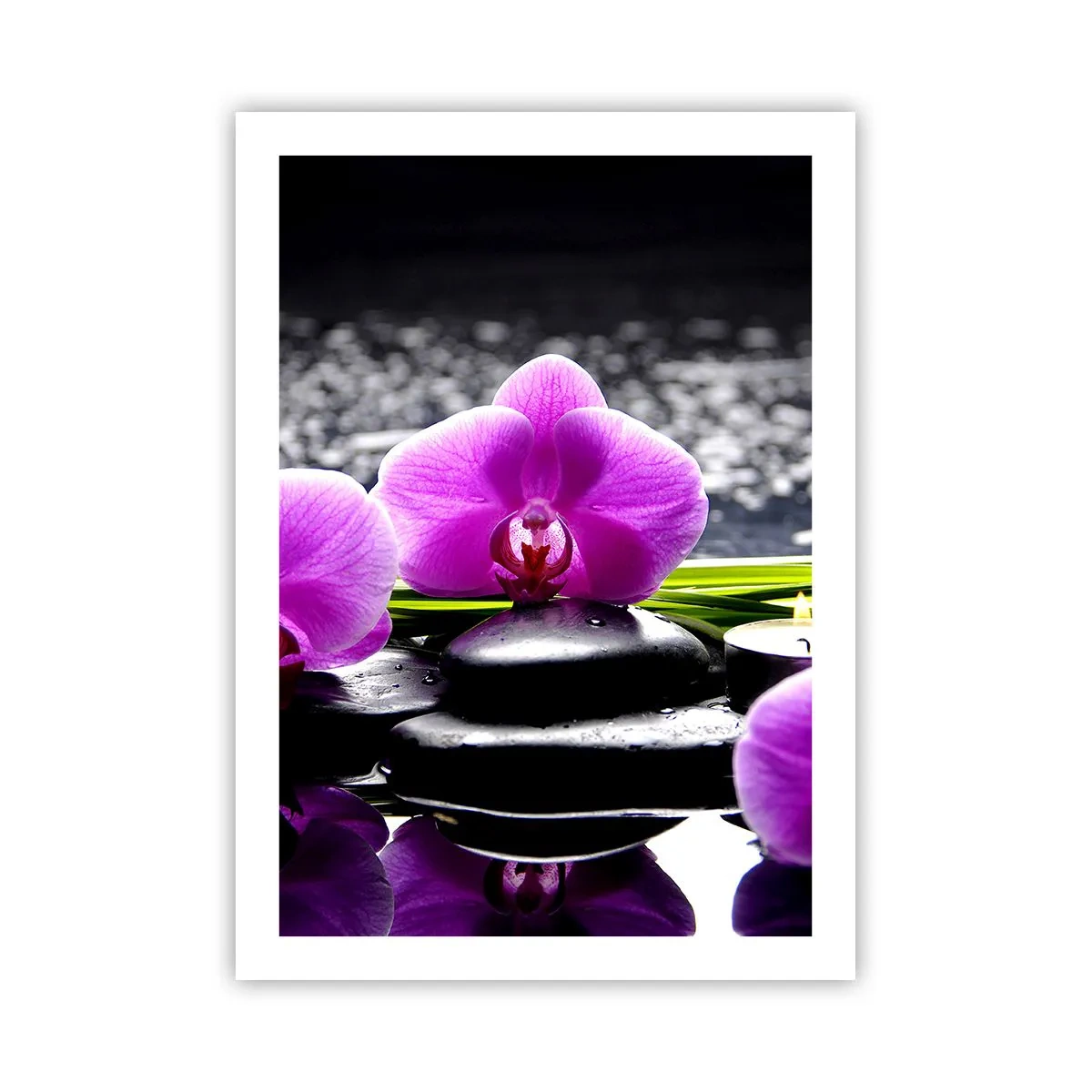 Poster - Un'orchidea viola su uno sfondo di pietre e acqua in un ambiente simile a una spa - 50x70cm - Annegare nel silenzio e nella pace - Decorazione murale moderna per soggiorno e camera da letto ARTTOR