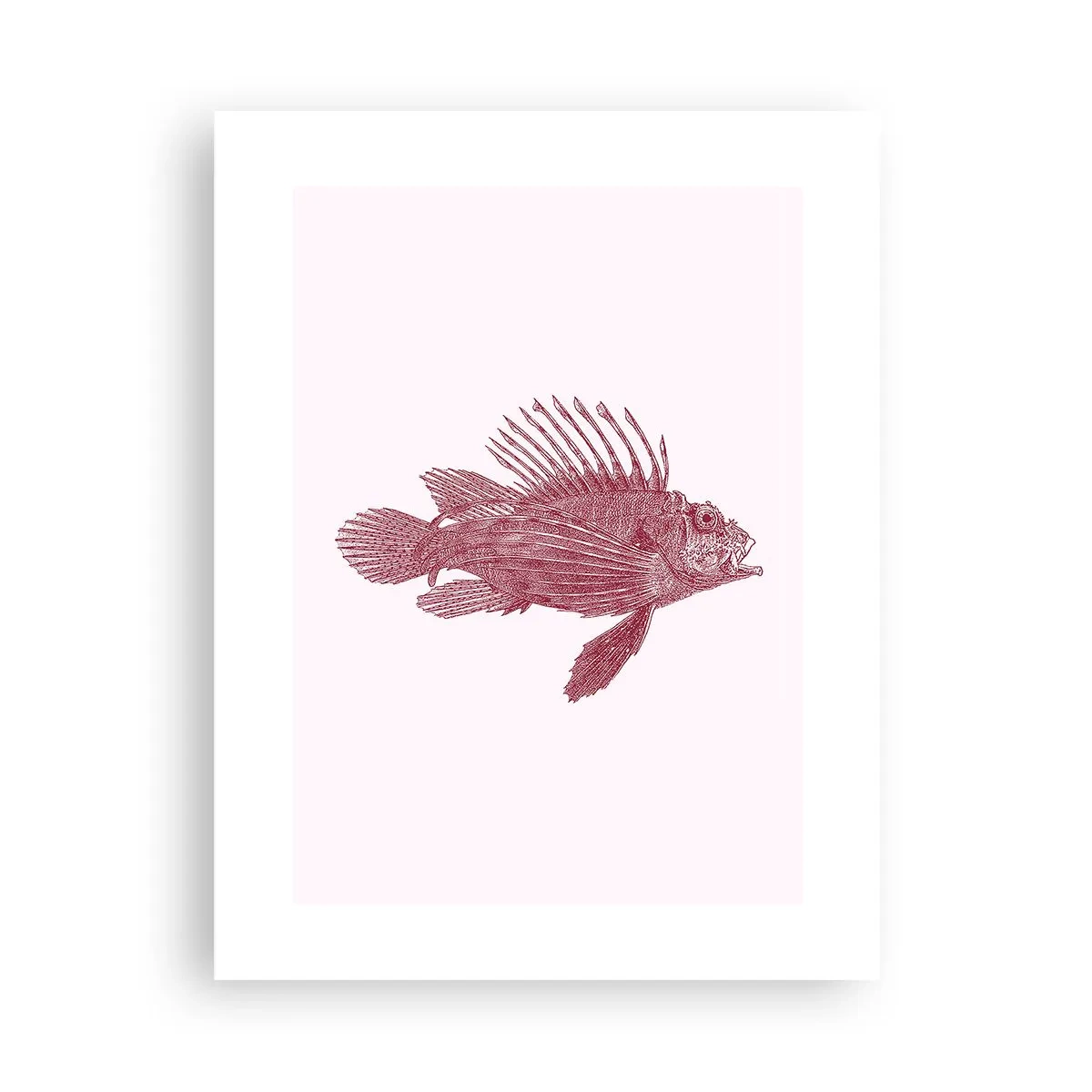 Poster - Abitante di mari esotici - 30x40 cm