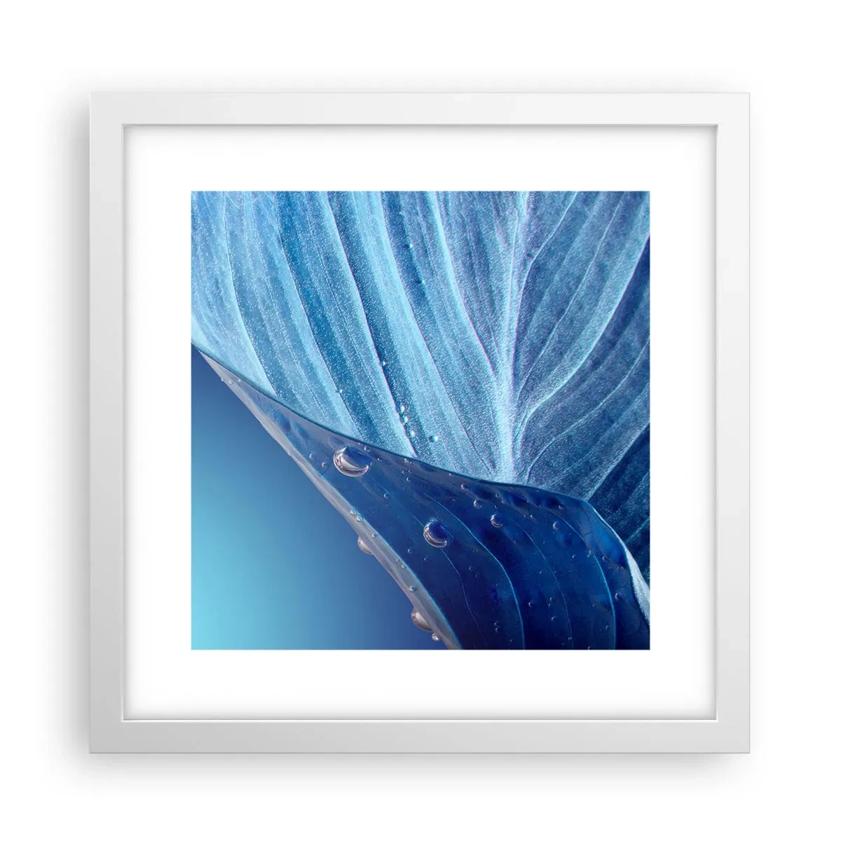 Poster in cornice bianca - Gocce di blu nascoste - 30x30 cm