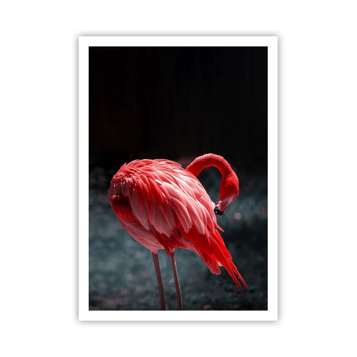 Poster - La poesia cremisi della natura - 70x100 cm
