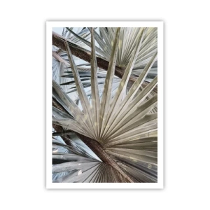 Poster - Ventagli dei tropici - 70x100 cm