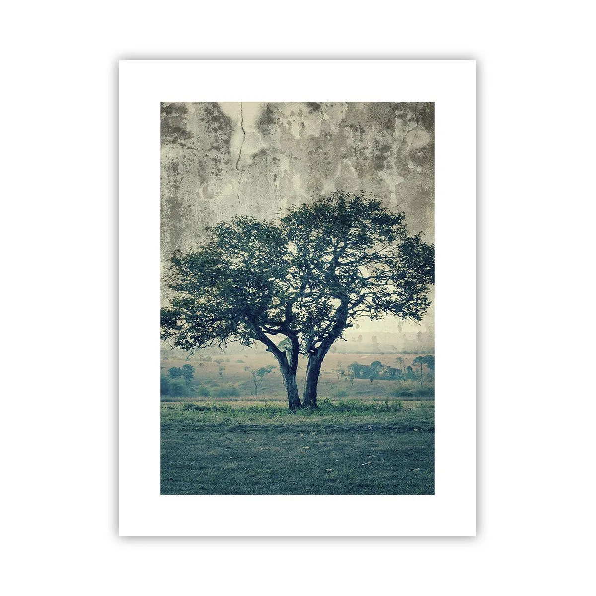 Poster - Un melo su un prato blu? - 30x40 cm