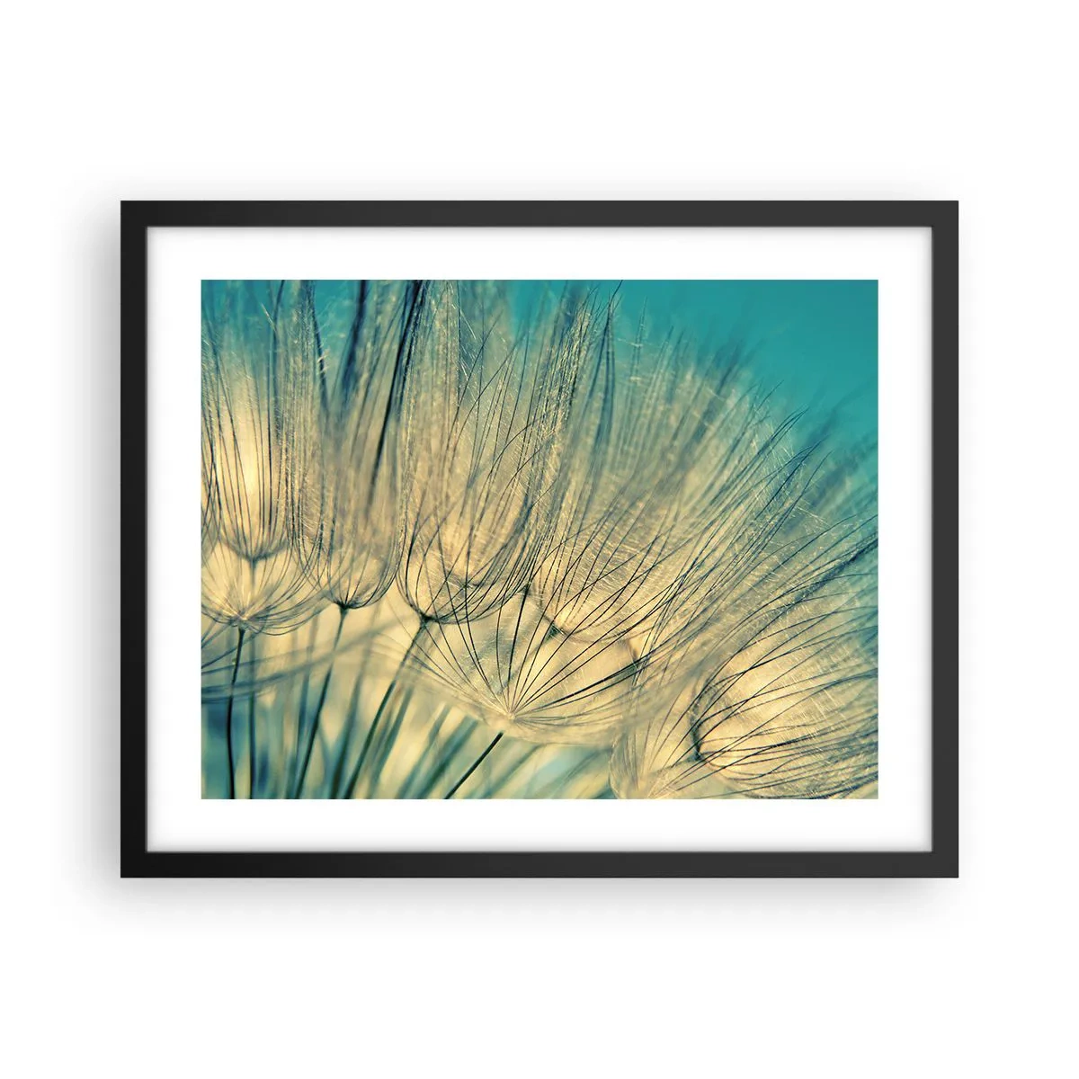 Poster in cornice nera - Aspettando il vento - 50x40 cm