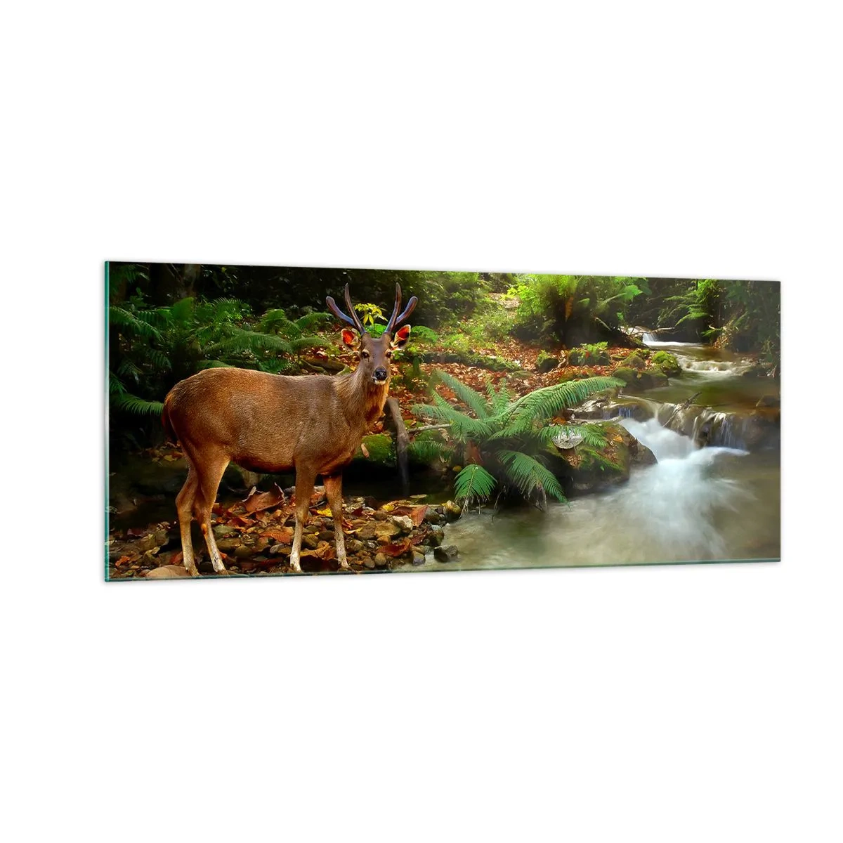 Quadro su vetro - Benvenuto nel mio mondo - 100x40 cm