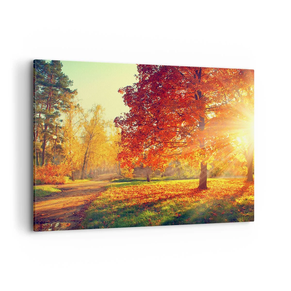 Quadro su tela - Stampe su Tela - Parco autunnale illuminato dalla luce del sole - 100x70cm - Rosso è bello - Decorazione murale moderna per soggiorno e camera da letto ARTTOR