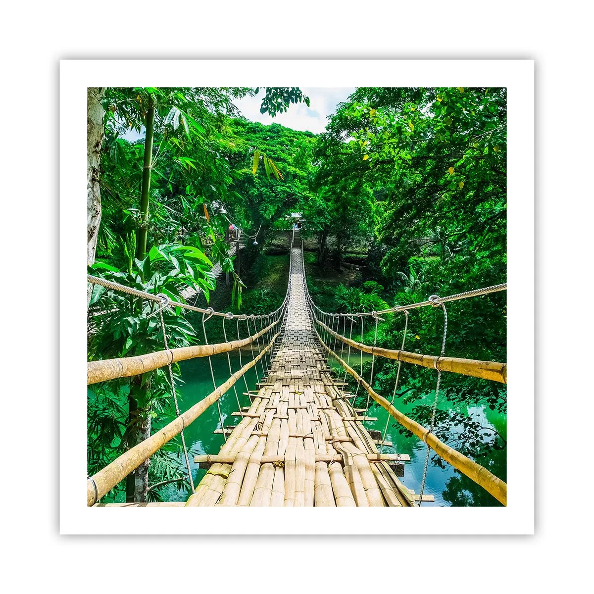 Poster - Ponte sospeso sopra il verde - 60x60 cm