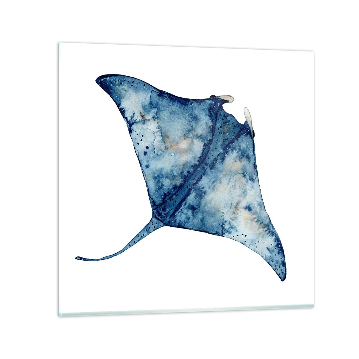 Quadro su vetro - Vita nel blu - 30x30 cm