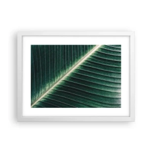 Poster in cornice bianca - Il ritmo della natura - 40x30 cm