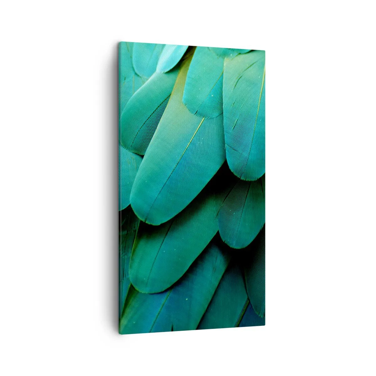 Quadro su tela - Stampe su Tela - Precisione da pappagallo - 45x80 cm