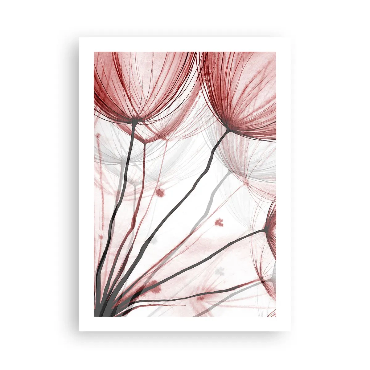 Poster - Delicati denti di leone nelle tonalità del rosso e del nero - 50x70cm - Prima del decollo - Decorazione murale moderna per soggiorno e camera da letto ARTTOR