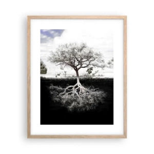 Poster in cornice rovere chiaro - La scoperta della natura del mondo - 40x50 cm