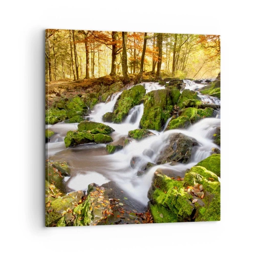 Quadro su tela - Stampe su Tela - Rapido nel bosco autunnale - 60x60 cm