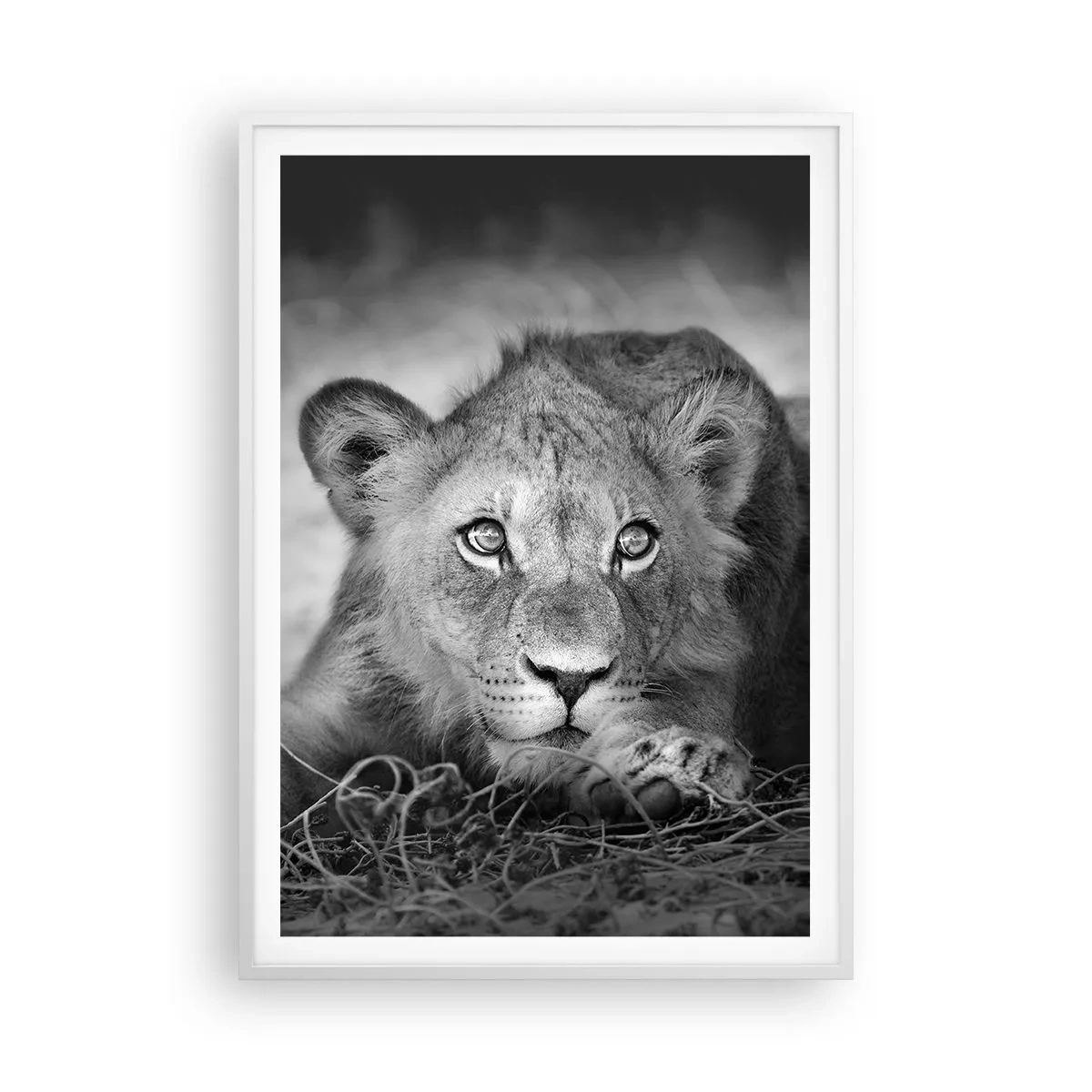 Poster in cornice bianca - Cucciolo reale - 70x100 cm