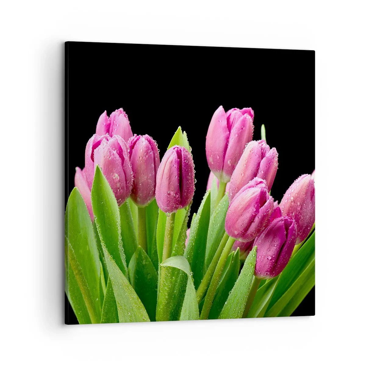Quadro su tela - Stampe su Tela - Gioia lilla della primavera - 50x50 cm