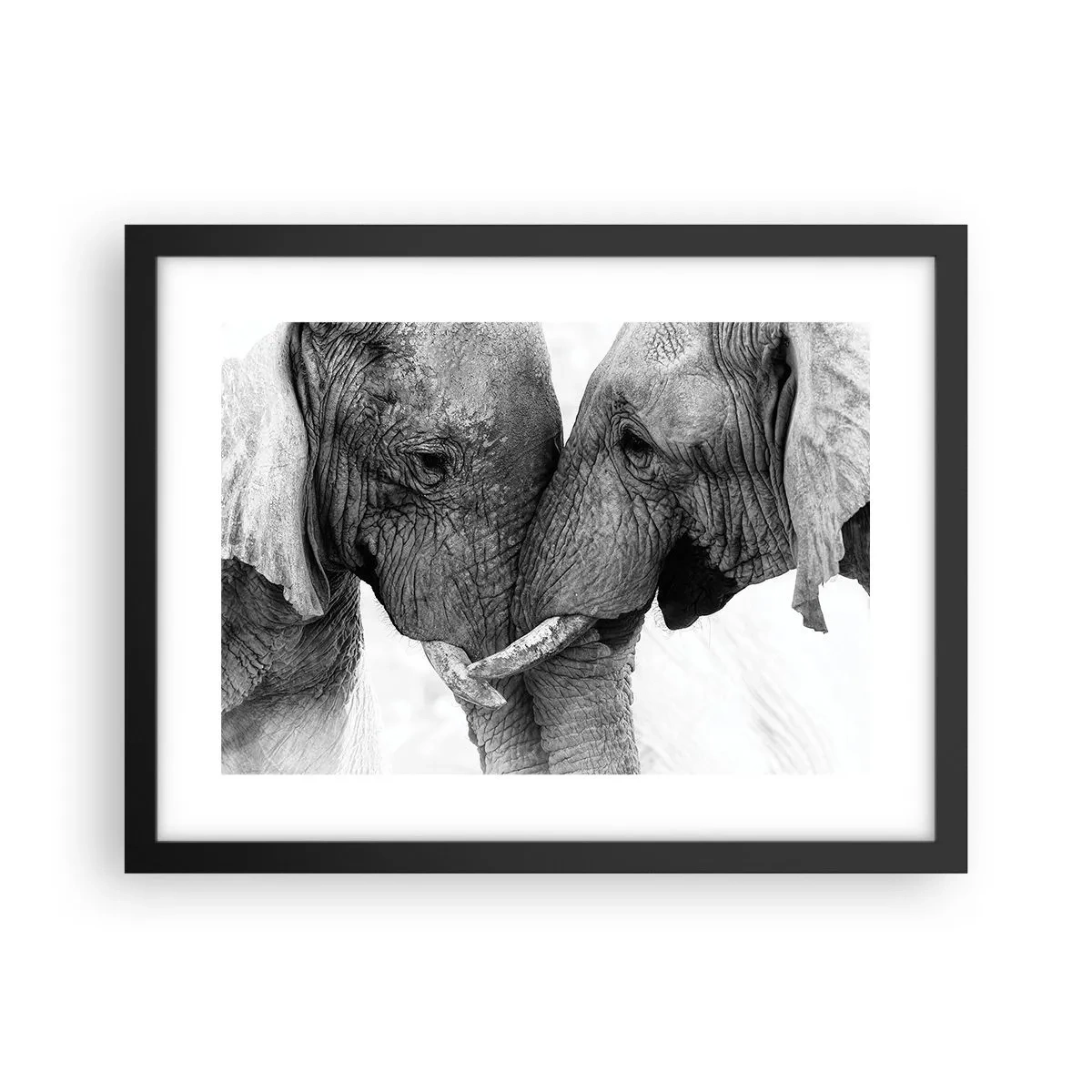 Poster in cornice nera - Dichiarazione sincera - 40x30 cm
