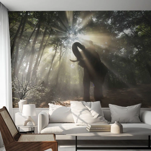 Fotomurali Premium Sand - Sotto una stella fortunata - Paesaggio, Elefante, Giungla - 150x105 cm