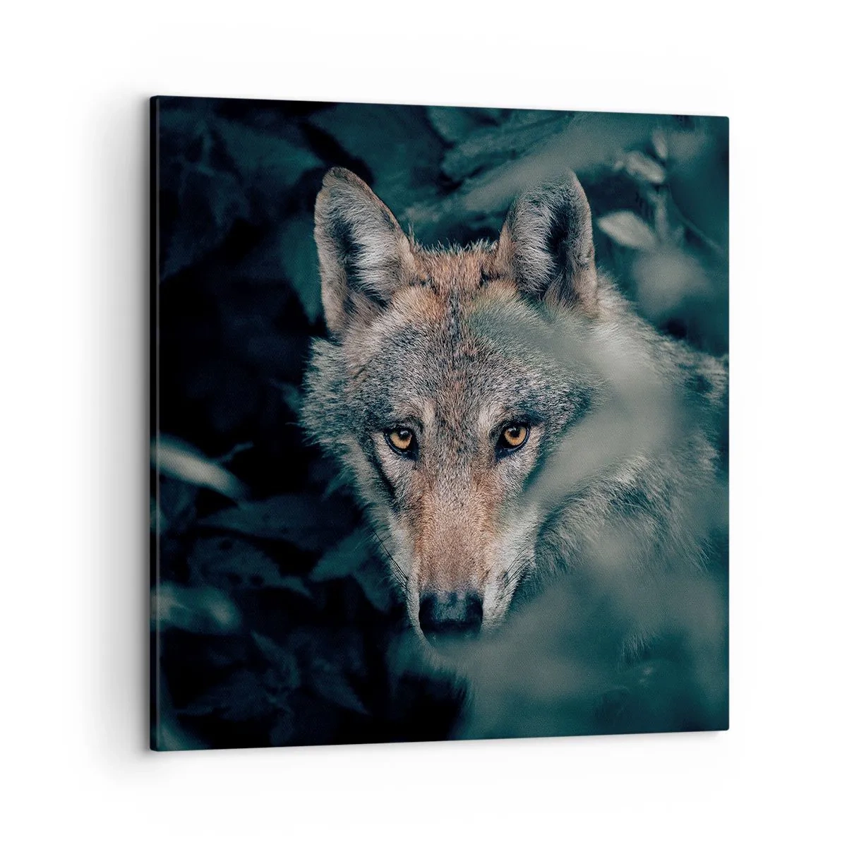 Quadro su tela - Stampe su Tela - Cacciatore - 50x50 cm