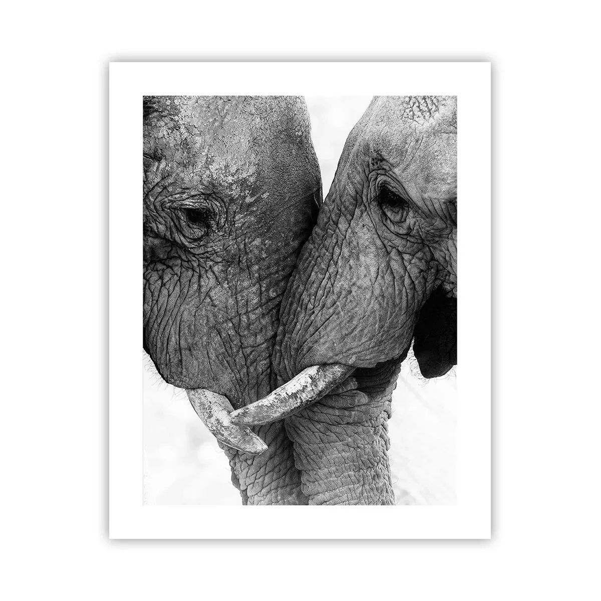 Poster - Dichiarazione sincera - 40x50 cm