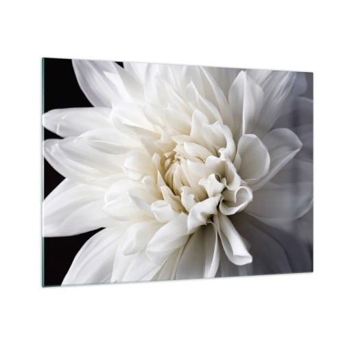 Quadro su vetro - Primo piano di una dalia bianca su sfondo nero e grigio - 70x50cm - Il mattino della sposa - Decorazione murale moderna per soggiorno e camera da letto ARTTOR