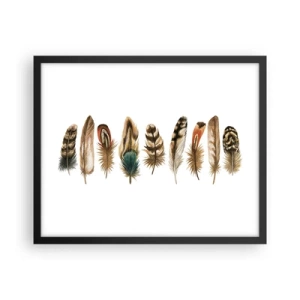 Poster in cornice nera - Composizione di piume - 50x40 cm