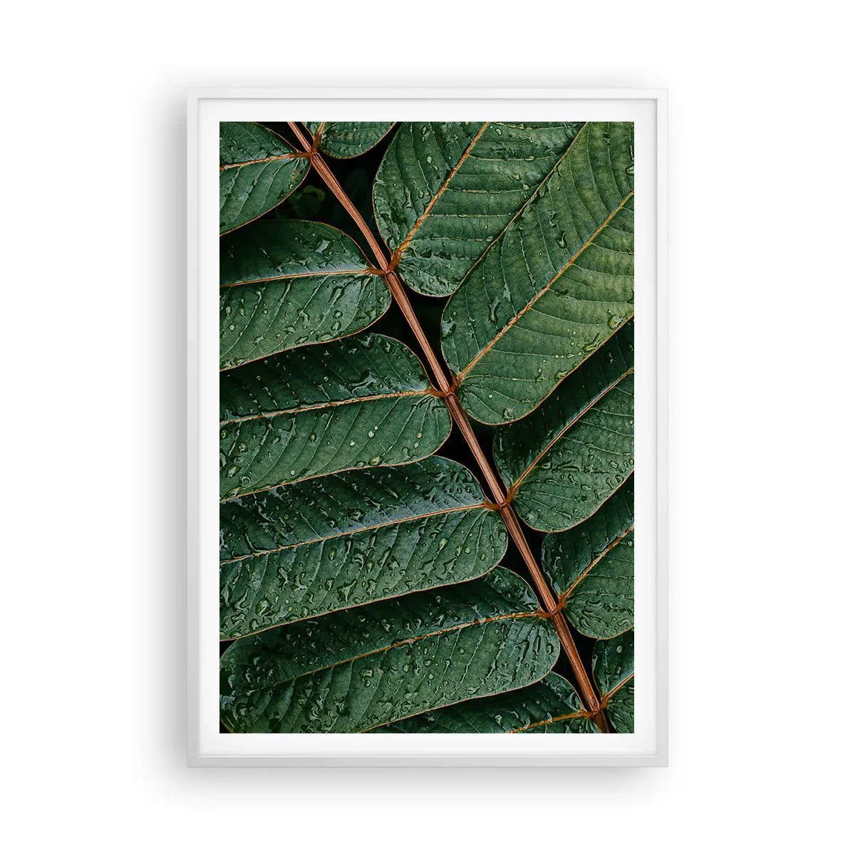 Poster in cornice bianca - Al ritmo verde - 70x100 cm