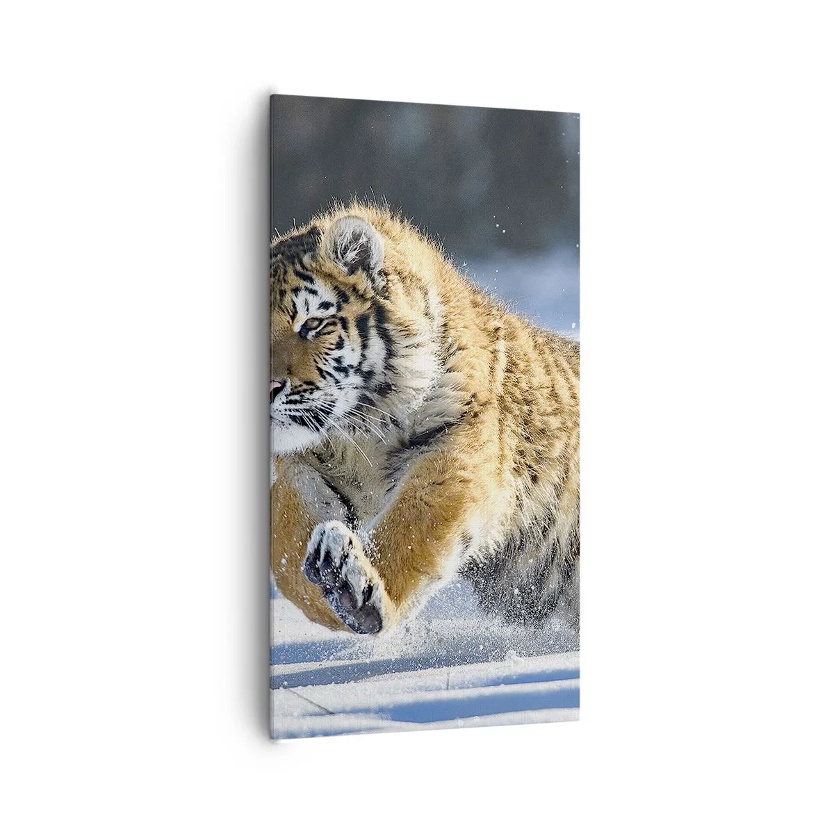 Quadro su tela - Stampe su Tela - La dea della taiga siberiana - 65x120 cm