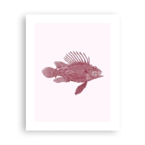 Poster - Abitante di mari esotici - 40x50 cm