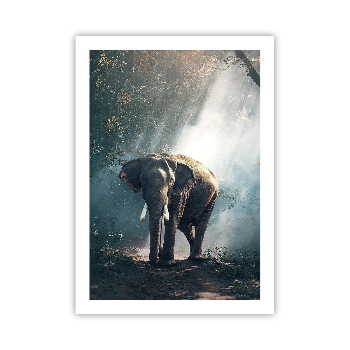 Poster - Un elefante che si crogiola al sole in una fitta foresta - 50x70cm - Tranquilla passeggiata - Decorazione murale moderna per soggiorno e camera da letto ARTTOR