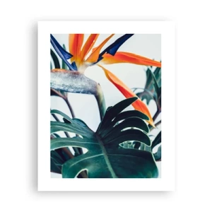 Poster - Pianta uccello - 40x50 cm