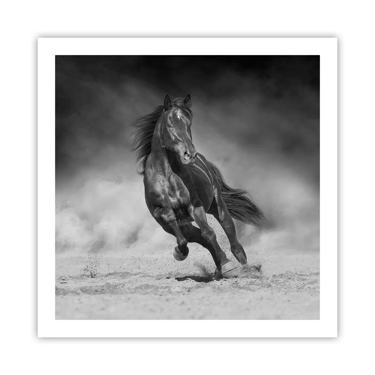 Poster - Degno dell'emiro - 60x60 cm