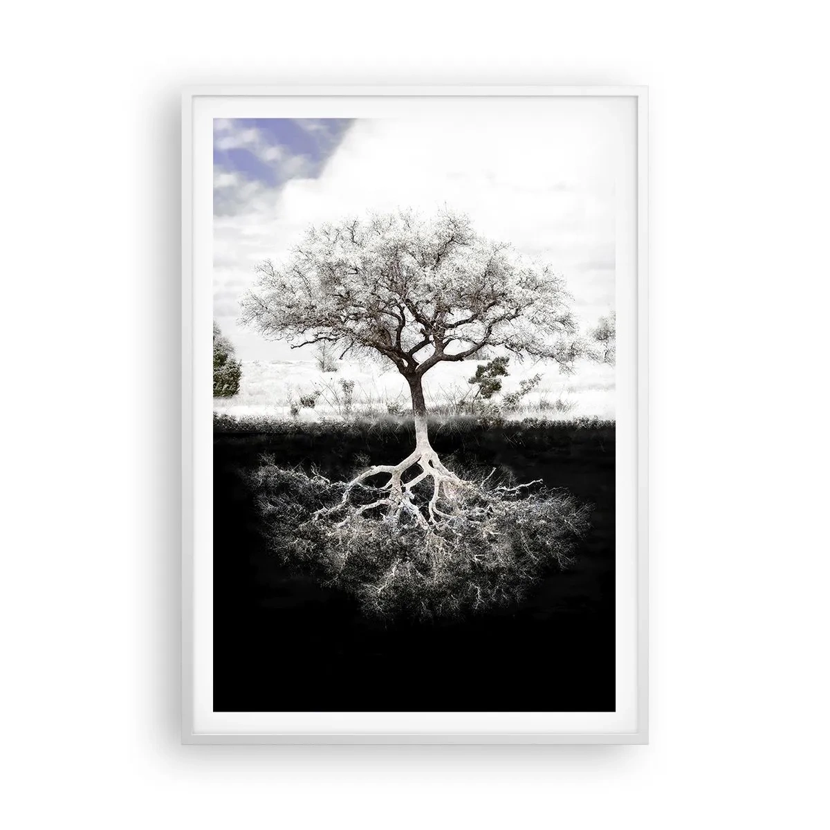 Poster in cornice bianca - La scoperta della natura del mondo - 70x100 cm