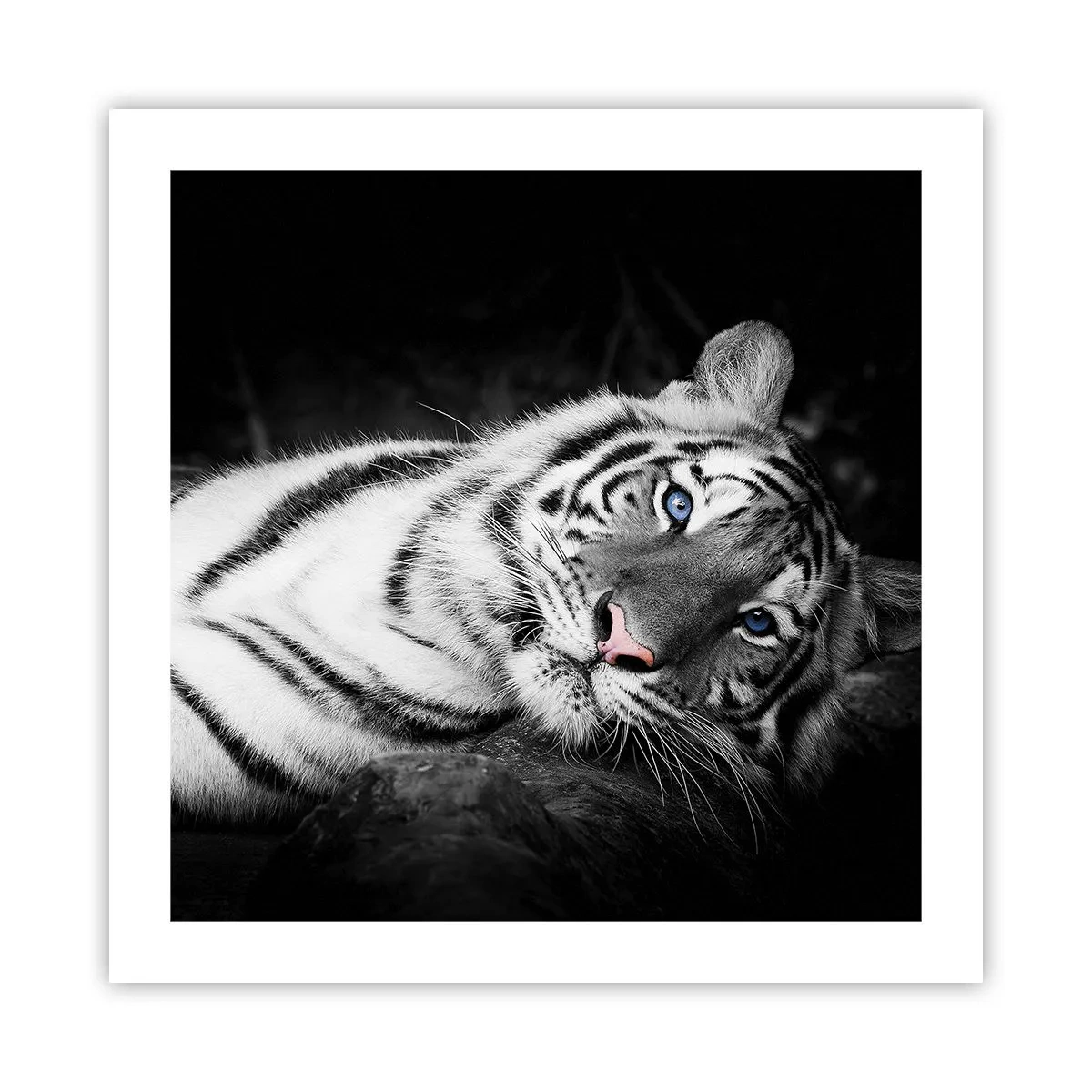 Poster - Selvaggità e pace - 50x50 cm