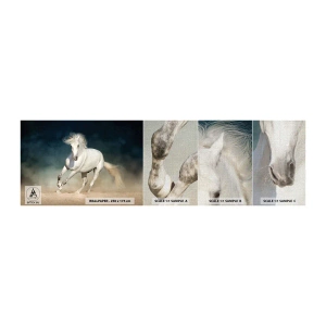Campione di Fotomurale Premium Canvas - Libertà allo stato puro - Cavallo, Animale, Bianco - 100x30 cm