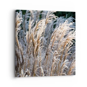 Quadro su tela - Stampe su Tela - Vestite di brina - 30x30 cm