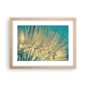 Poster in cornice rovere chiaro - Aspettando il vento - 40x30 cm
