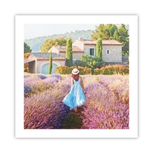 Poster - La ragazza nella lavanda - 50x50 cm