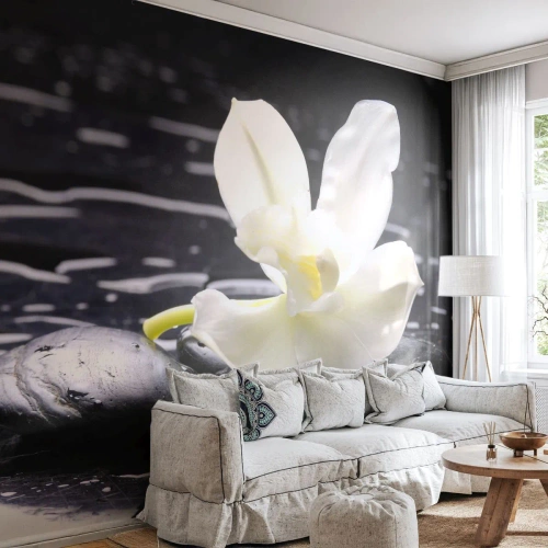 Fotomurali Premium Canvas - Studio in bianco e nero - Fiori, Pietre, Orchidea - 250x175 cm