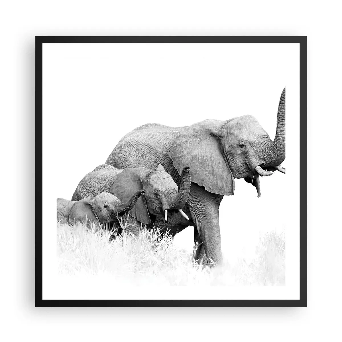 Poster in cornice nera - Uno, due, tre - 60x60 cm