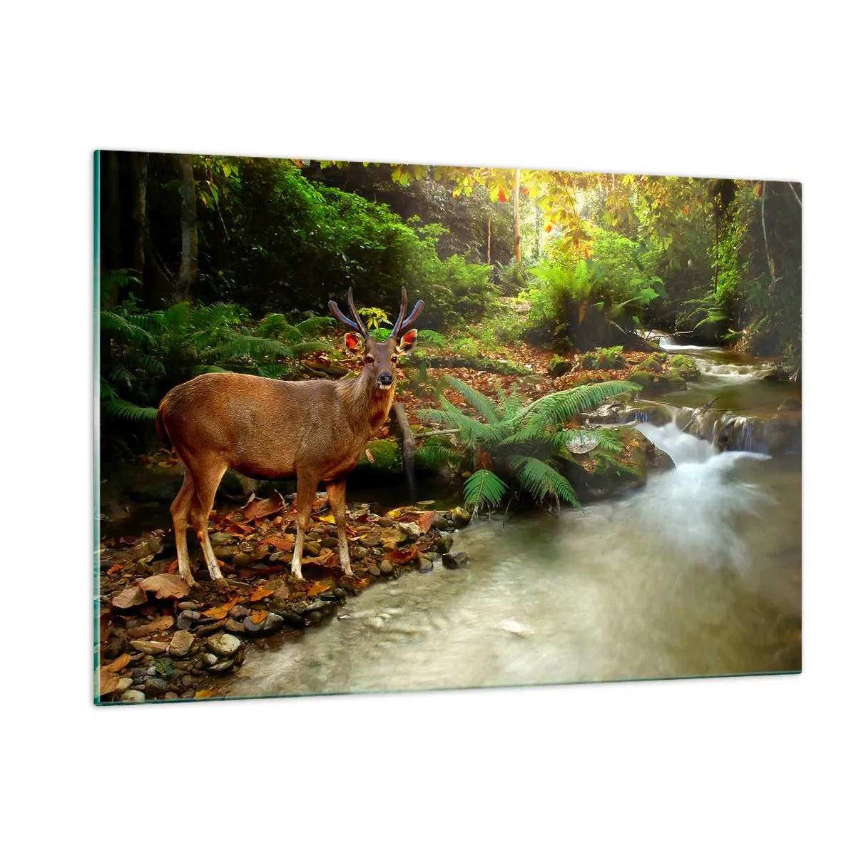 Quadro su vetro - Un cervo vicino a un ruscello in una foresta illuminata dal sole - 120x80cm - Benvenuto nel mio mondo - Decorazione murale moderna per soggiorno e camera da letto ARTTOR