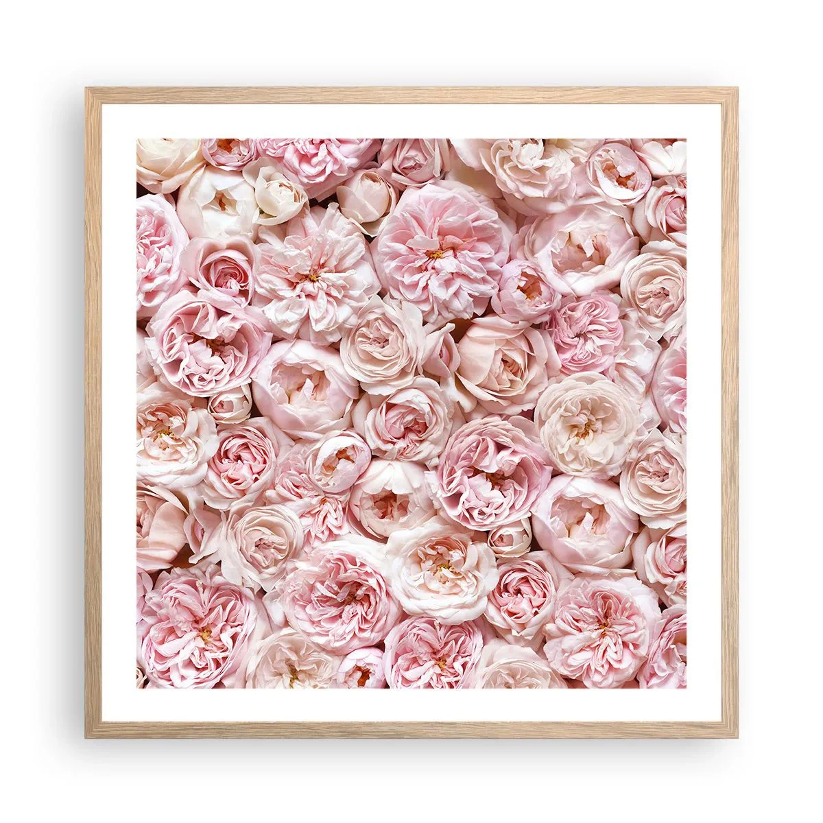 Poster in cornice rovere chiaro - Coperto di rose - 60x60 cm