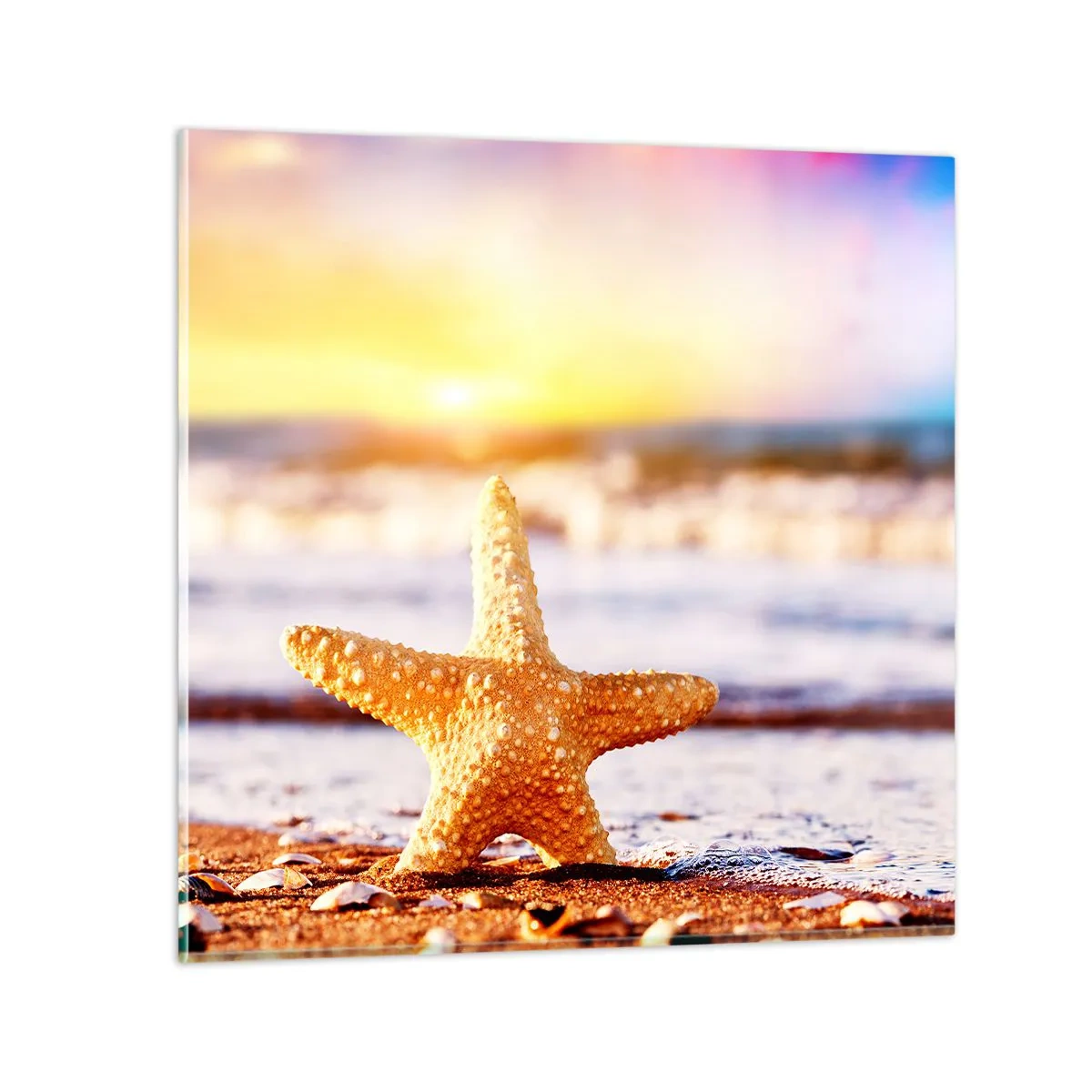 Quadro su vetro - Regalo del mare - 40x40 cm