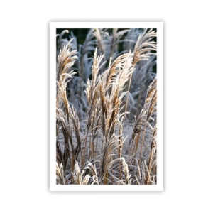Poster - Vestite di brina - 61x91 cm
