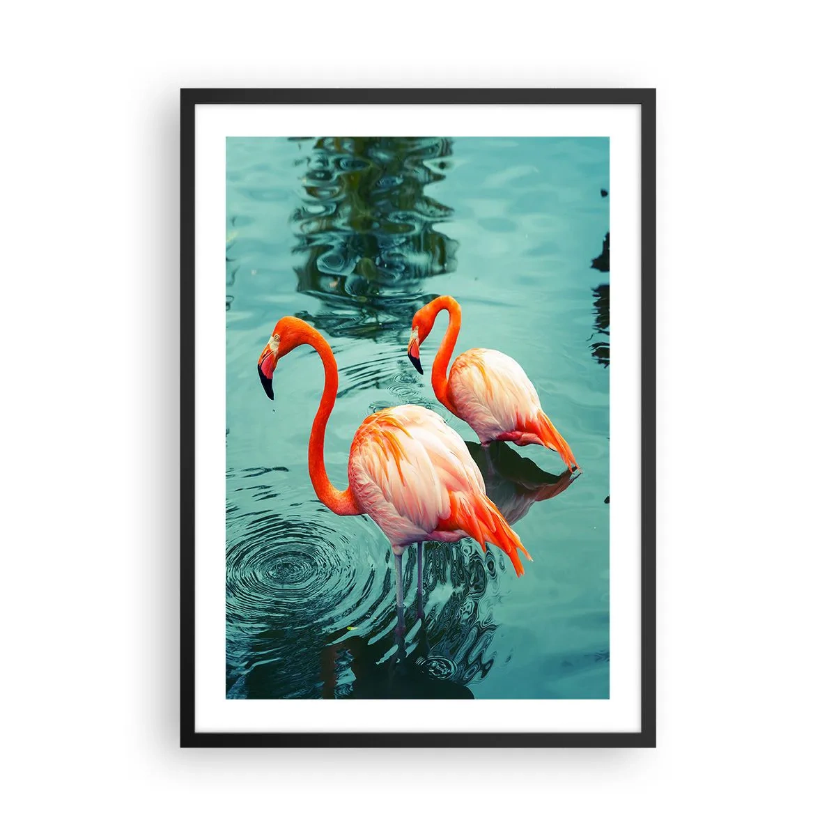 Poster in cornice nera - Due fenicotteri sullo sfondo di acqua calma - 50x70cm - Adesso siamo di moda - Decorazione murale moderna per soggiorno e camera da letto ARTTOR