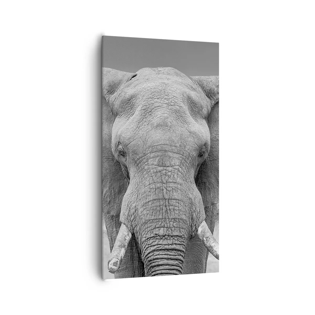 Quadro su tela - Stampe su Tela - Benvenuti nel mio mondo - 65x120 cm