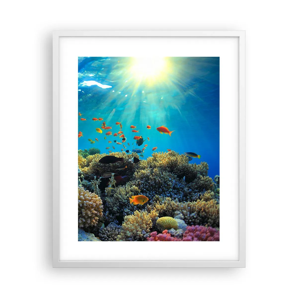 Poster in cornice bianca - Tesori sotto al mare - 40x50 cm