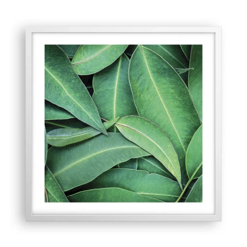 Poster in cornice bianca - Succosi e freschi - 50x50 cm