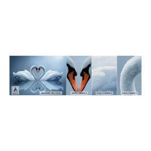 Campione di Fotomurale Premium Canvas - Il tempo dell'amore - Cigni, Amore, Cuore - 100x30 cm