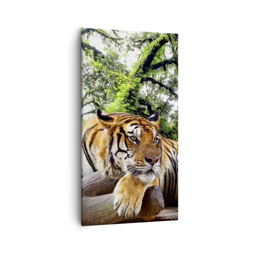 Quadro su tela - Stampe su Tela - Con espressioni di stima - 55x100 cm